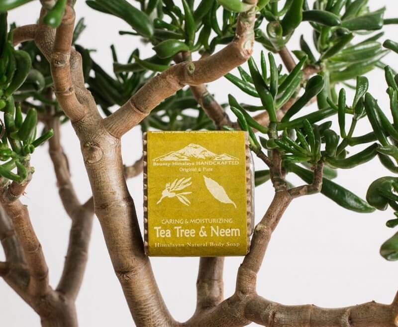 Naturalne mydło himalajskie Tea Tree & Neem